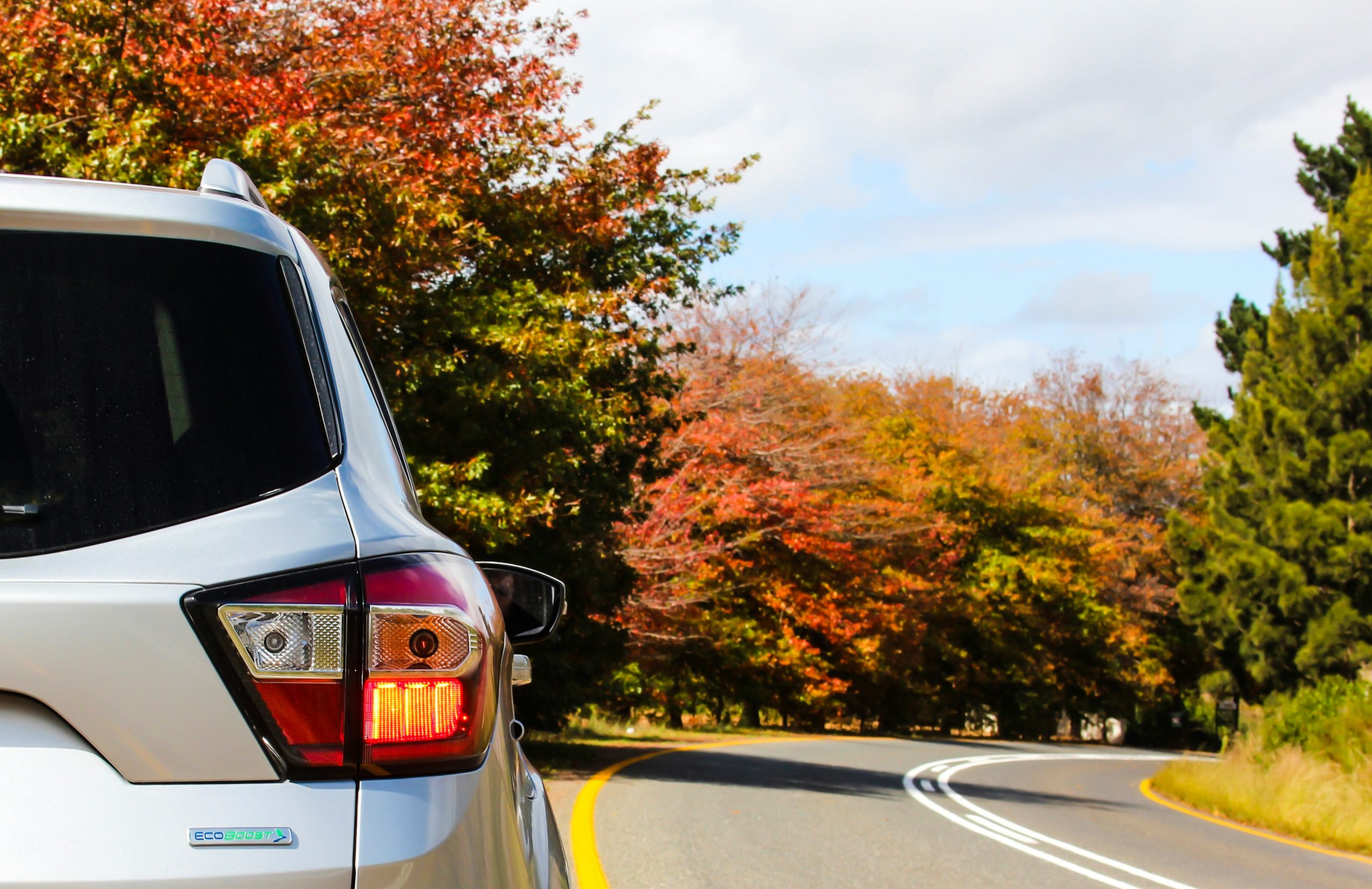 car rentals